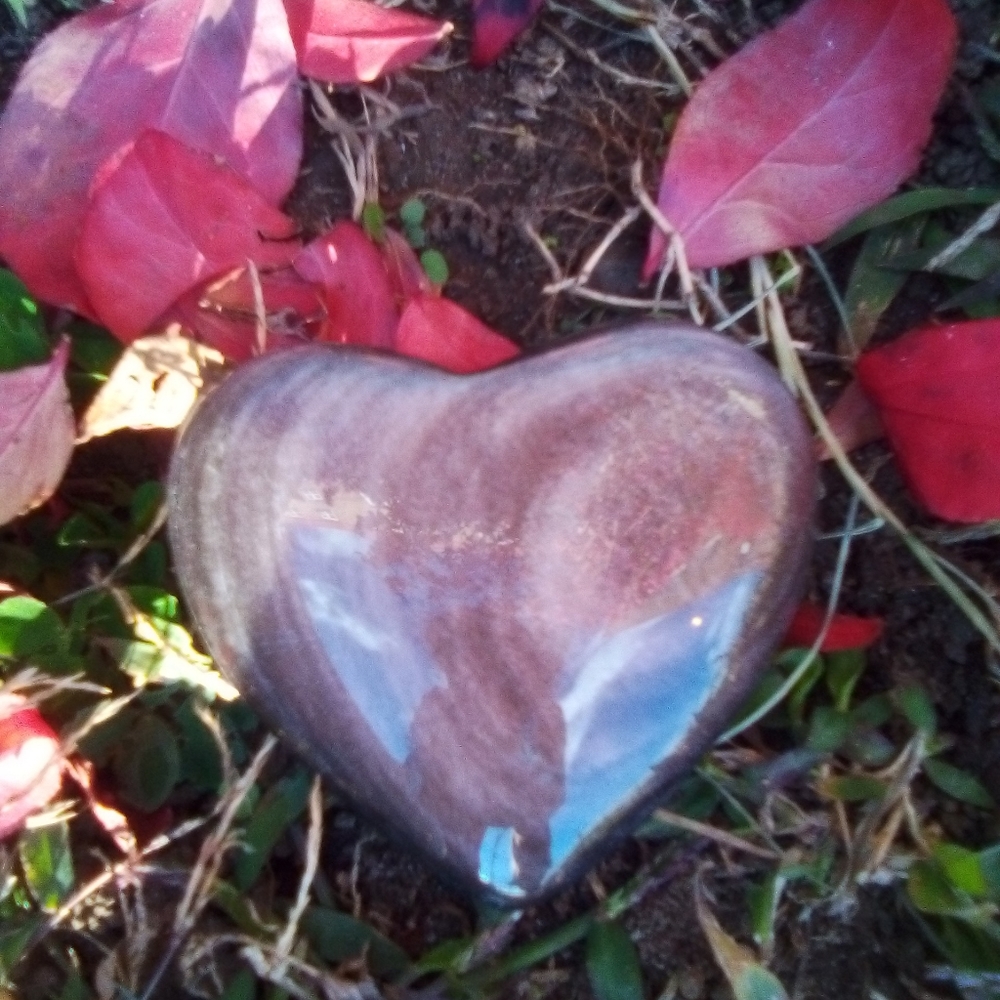 Silver shein obsidian Heart